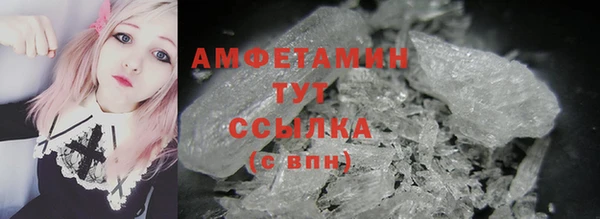 индика Инсар