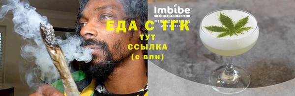 индика Инсар