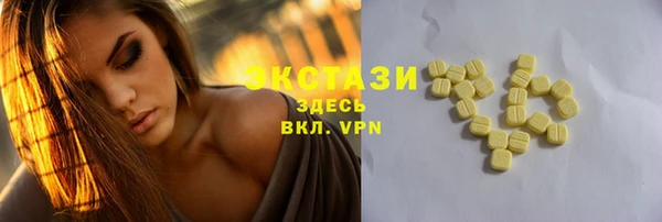 индика Инсар