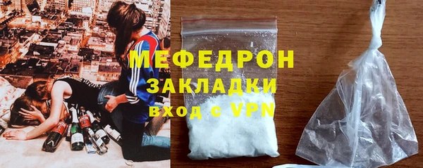 индика Инсар