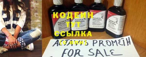 индика Инсар